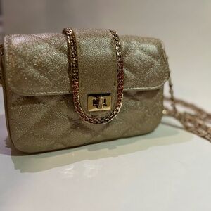 Glitter Handbag